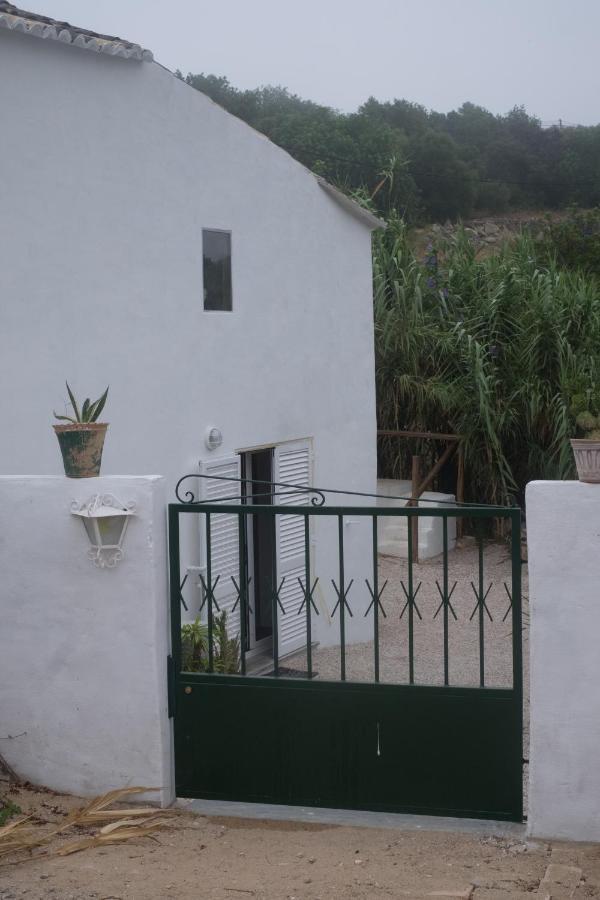 מלון Azinheiro Casa Da Cabeca מראה חיצוני תמונה