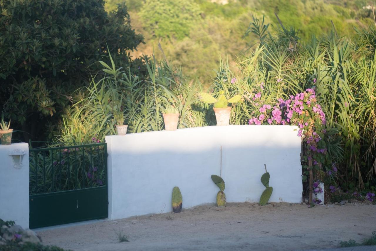 מלון Azinheiro Casa Da Cabeca מראה חיצוני תמונה