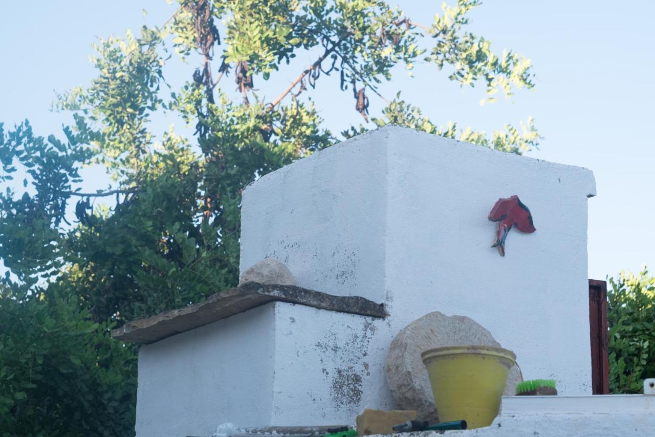 מלון Azinheiro Casa Da Cabeca מראה חיצוני תמונה